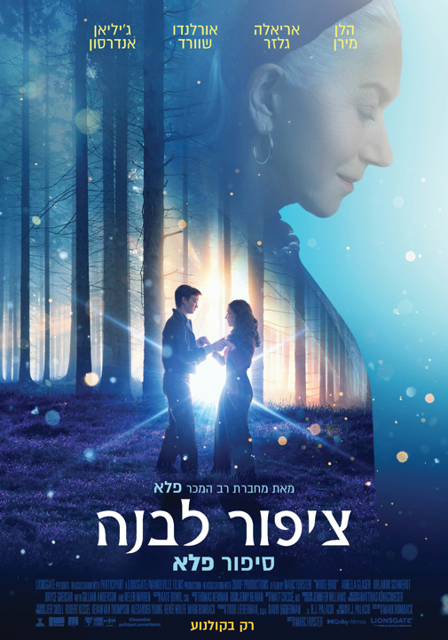 פוסטר